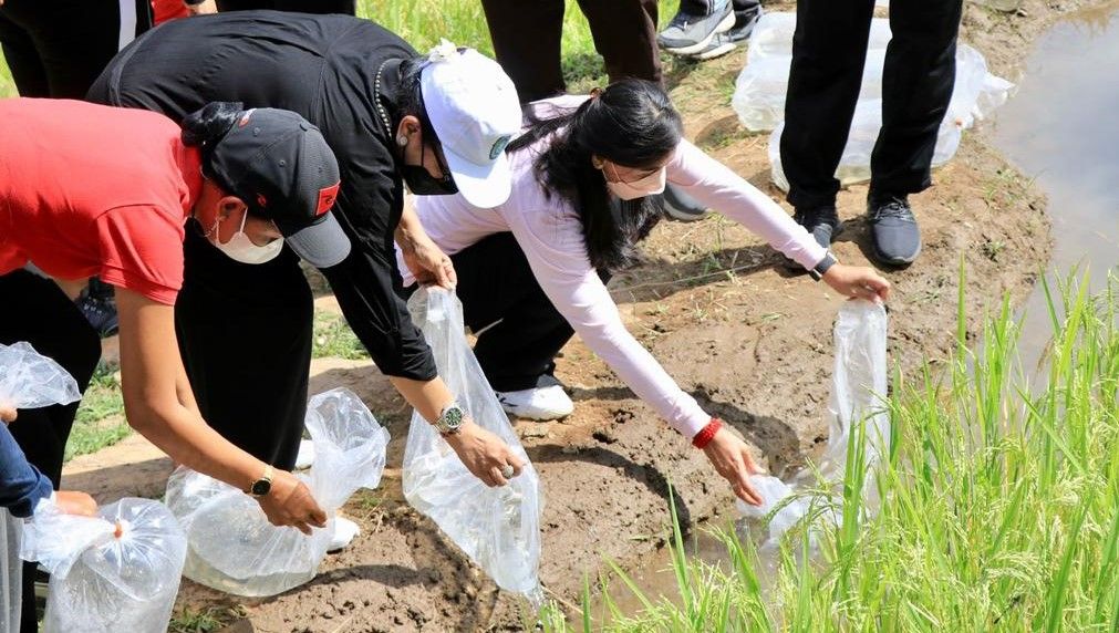 podiumnews.com-PUSPA AMAN, Berdayakan Lahan Kosong di Desa Capai Ketahanan Pangan  